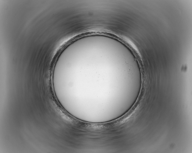 X0000090700831200707200927