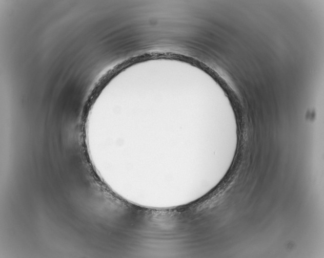 X0000090700832200707200927