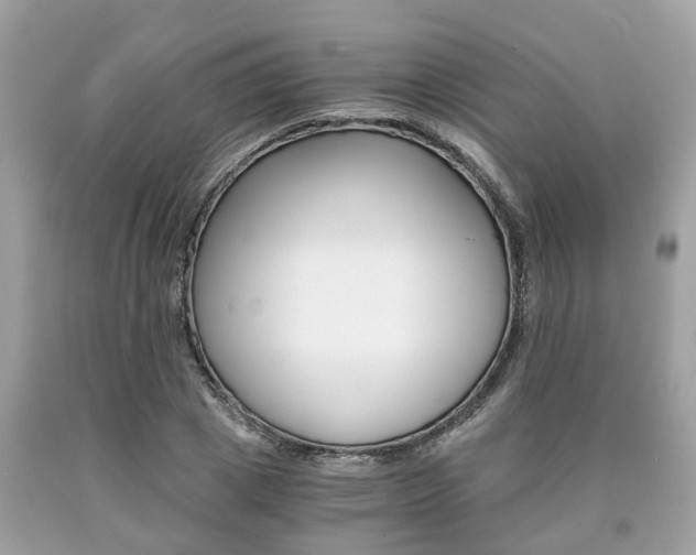 X0000090700833200707200927