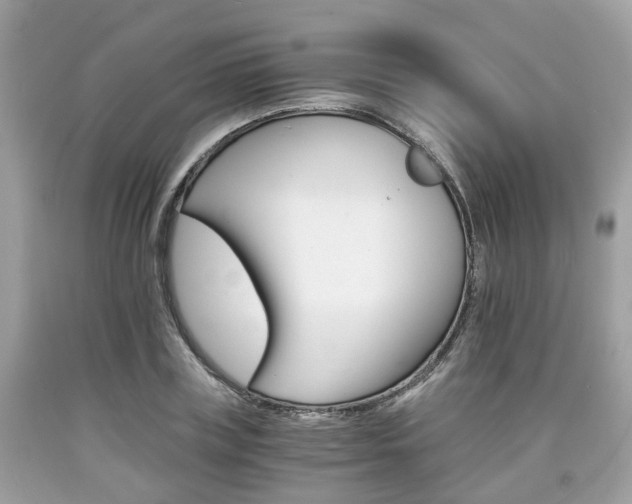 X0000090700835200707200927