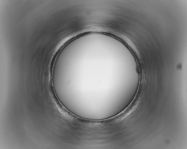 X0000090700837200707200927