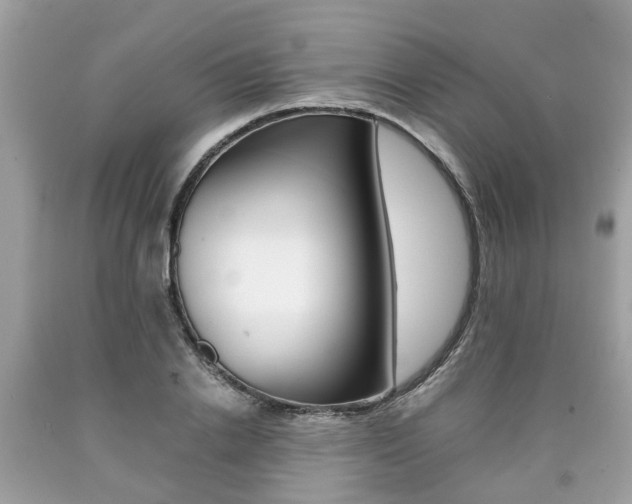 X0000090700838200707200927