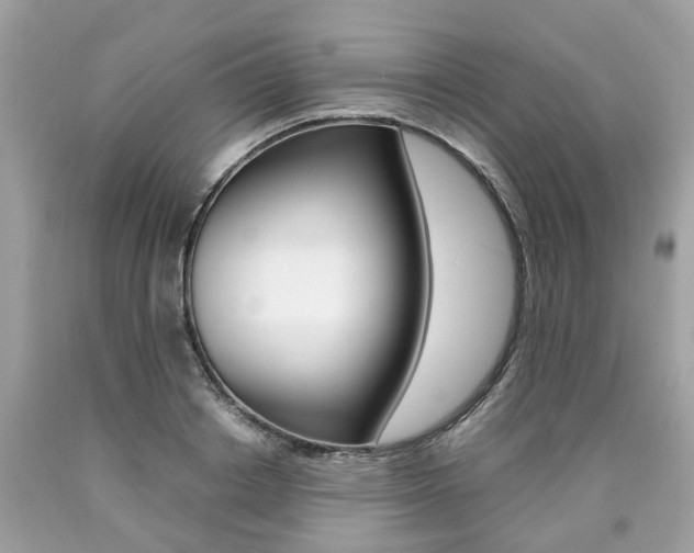 X0000090700842200707200927