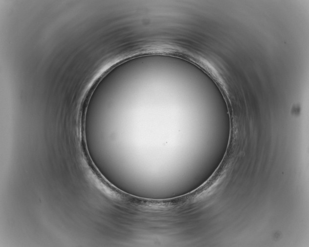 X0000090700843200707200927