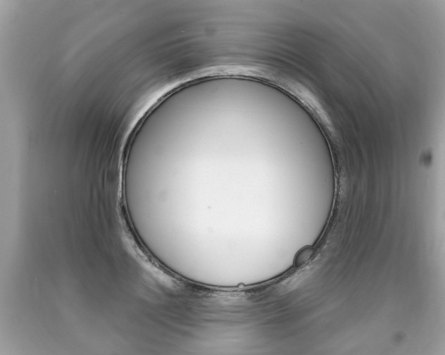 X0000090700844200707200927