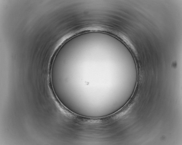 X0000090700845200707200927