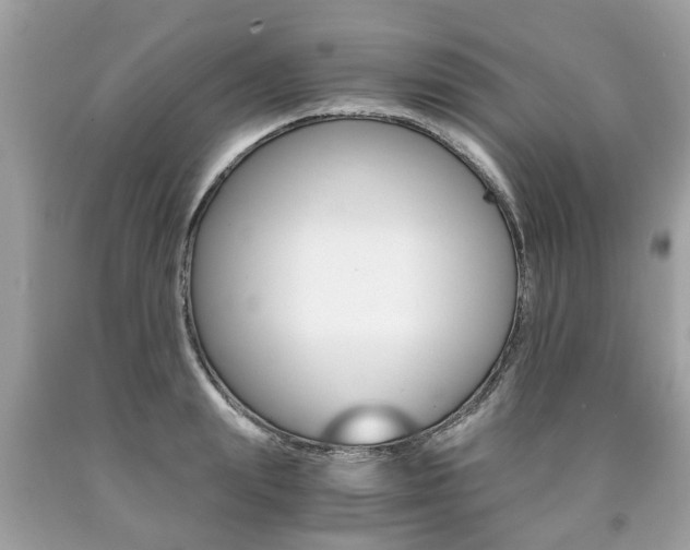 X0000090700847200707200927