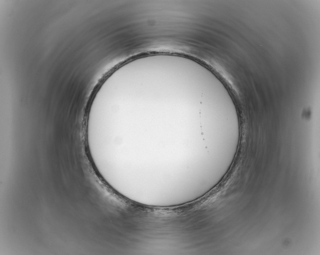 X0000090700848200707200927