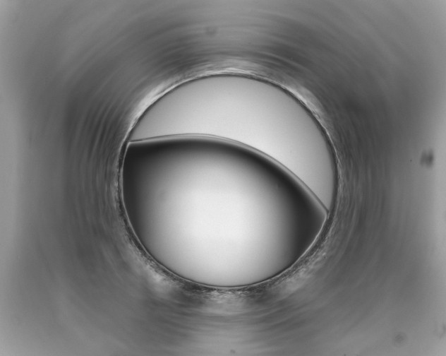 X0000090700850200707200927