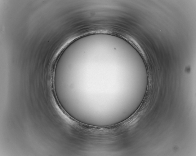 X0000090700851200707200927