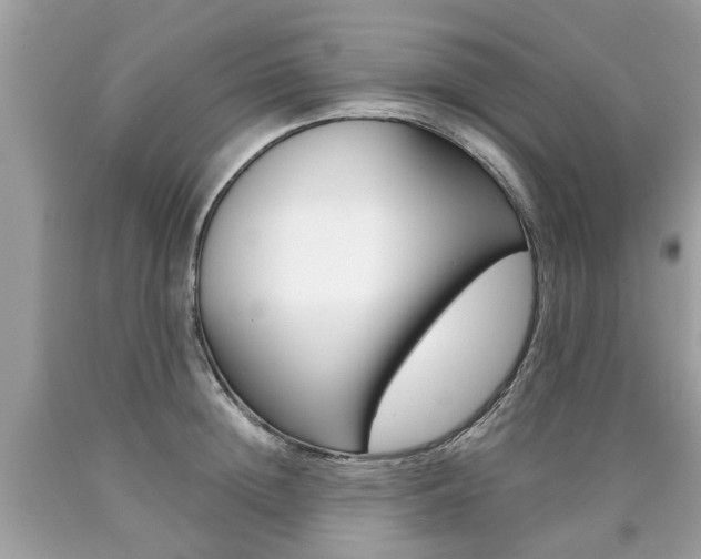X0000090700852200707200927