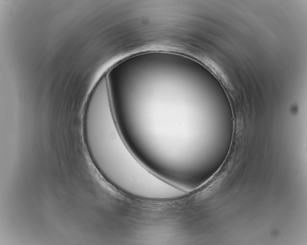 X0000090700854200707200927