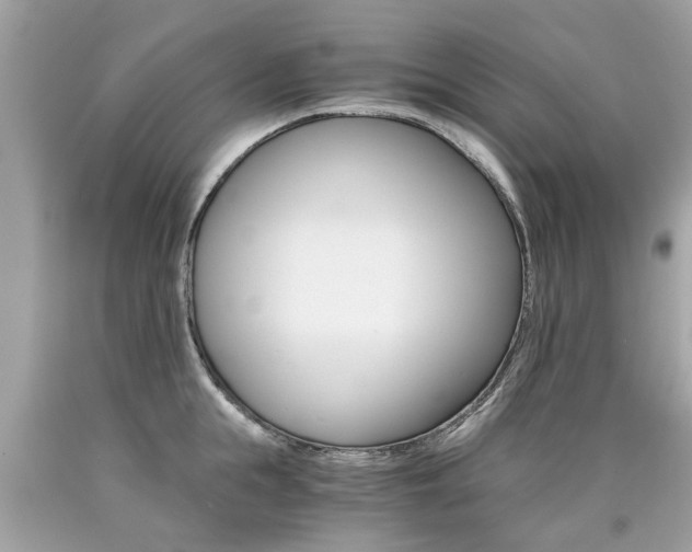 X0000090700855200707200927