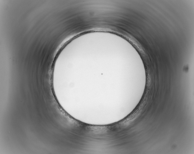 X0000090700856200707200927