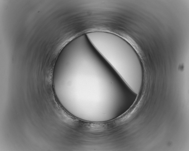 X0000090700857200707200927