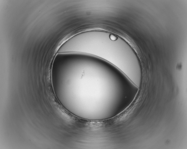 X0000090700858200707200927