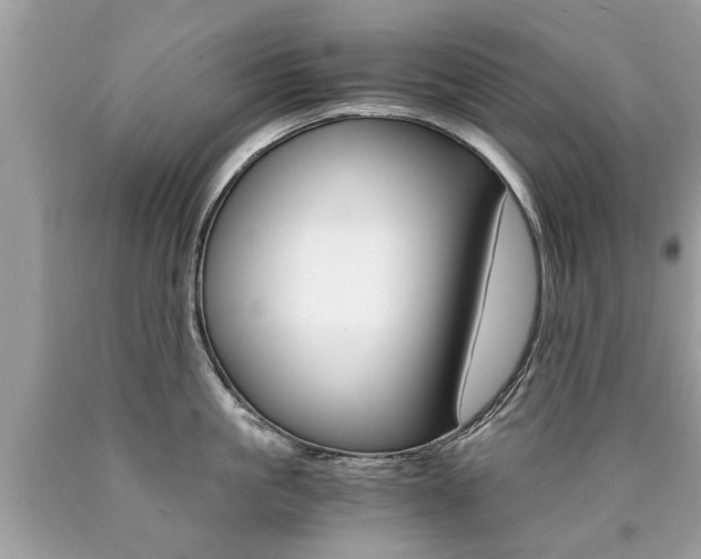 X0000090700861200707200927