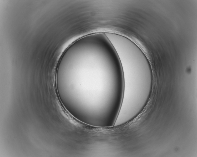 X0000090700862200707200927