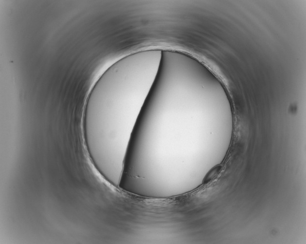 X0000090700863200707200927