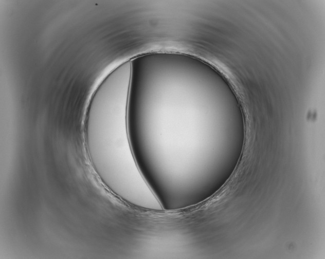X0000090700864200707200927