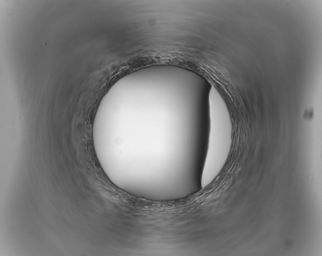 X0000090700865200707200926
