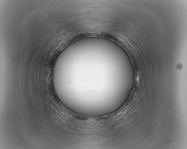 X0000090700867200707200926