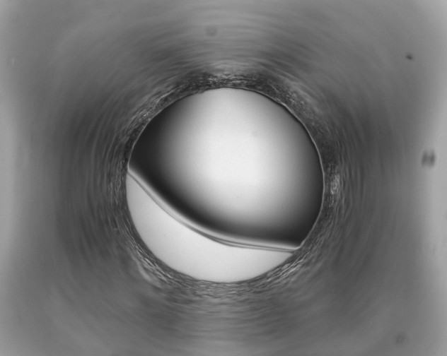 X0000090700868200707200926