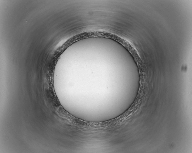 X0000090700871200707200926