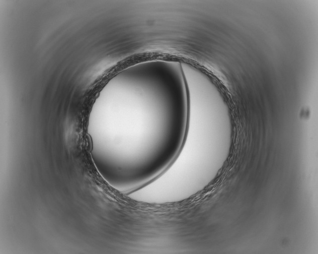 X0000090700872200707200926