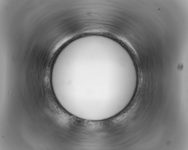 X0000090700874200707200926