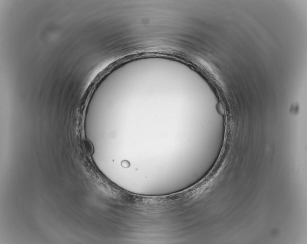 X0000090700875200707200926