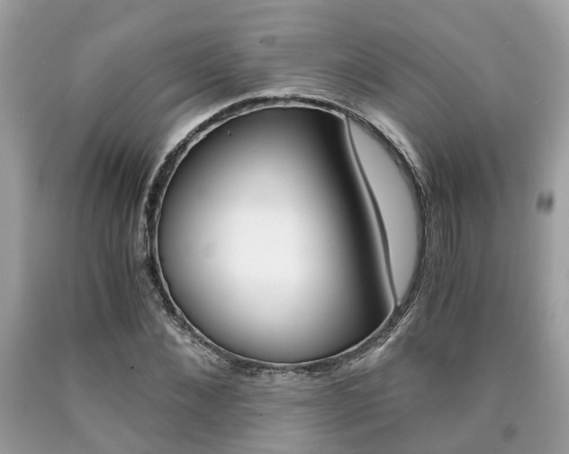 X0000090700876200707200926