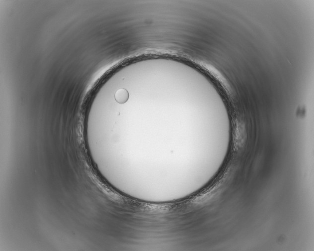 X0000090700878200707200926