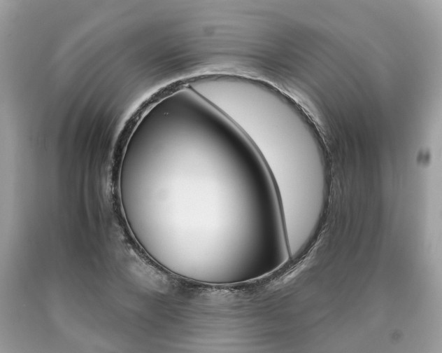 X0000090700880200707200926