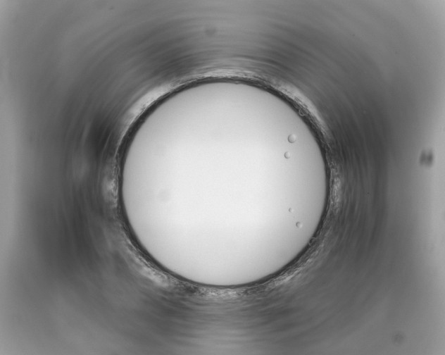 X0000090700882200707200926