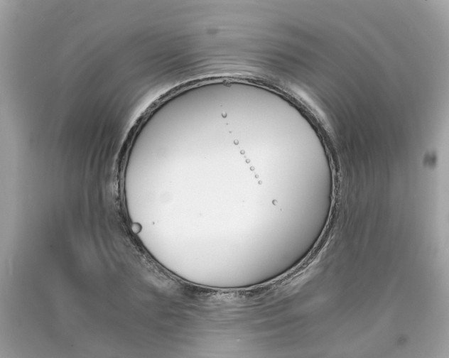X0000090700883200707200926