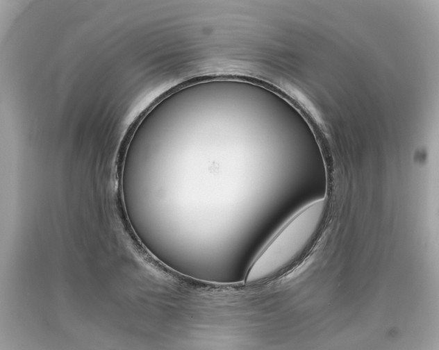 X0000090700885200707200926