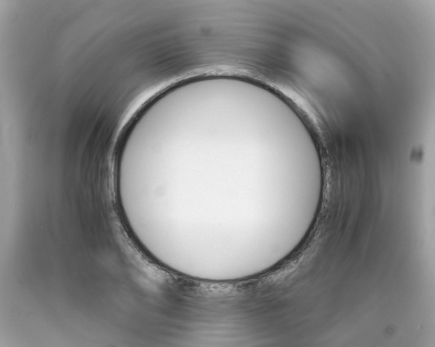 X0000090700886200707200926