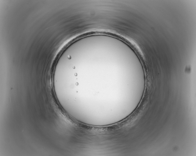 X0000090700887200707200926