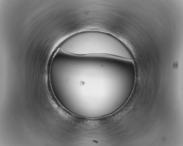 X0000090700888200707200926