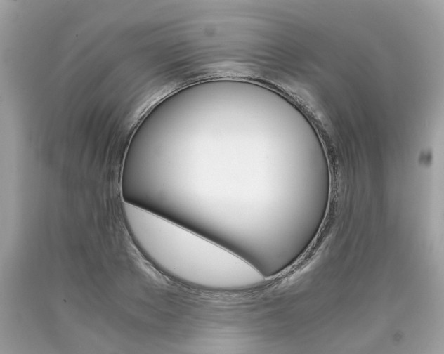 X0000090700889200707200926