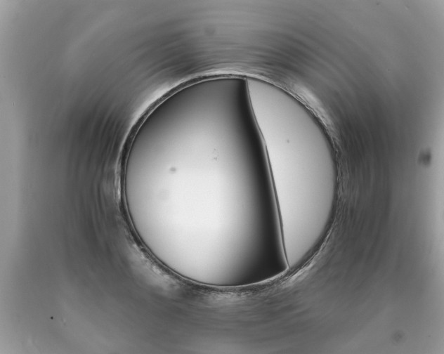 X0000090700892200707200926
