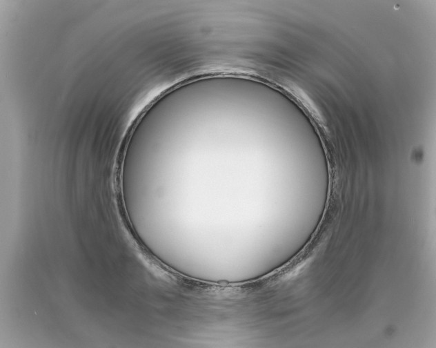 X0000090700893200707200926