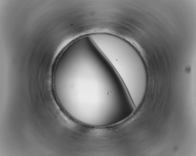 X0000090700894200707200926