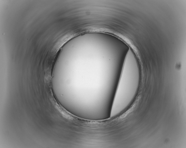 X0000090700897200707200926