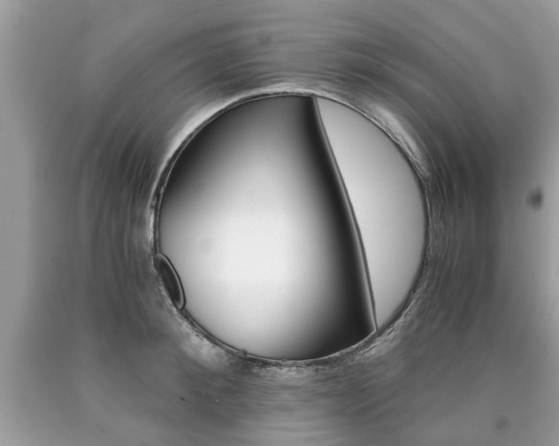 X0000090700900200707200926