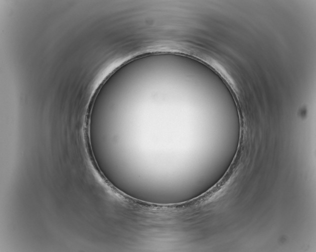 X0000090700901200707200926