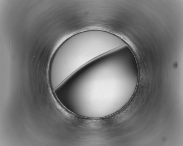 X0000090700902200707200926