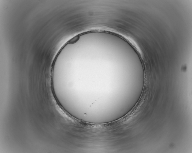 X0000090700903200707200926