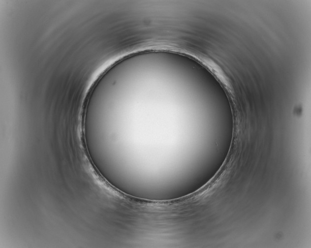 X0000090700904200707200926